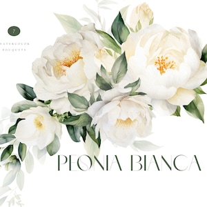 Imágenes prediseñadas de peonías blancas de acuarela, flores blancas de boda, ramo de peonías, rosas blancas png, peonía blanca png, invitación de boda de peonías