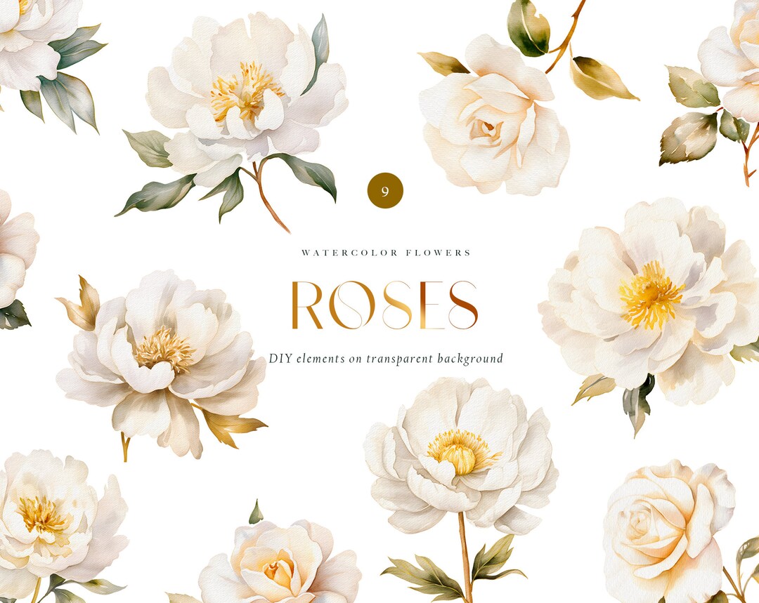 Watercolor White Peonies and Roses Png, DIY Watercolor Set, White ...