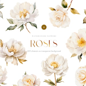 Aquarela peônias brancas e rosas png, conjunto de aquarela DIY, flores brancas com elementos dourados para cartão de convite de casamento, clipart floral png