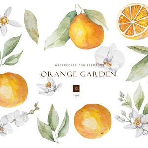 Watercolor orange png clipart, citrus png, bridal shower, floral bouquet, orange, orchid clipart,  flower blossom, greenery clipart, DIY
