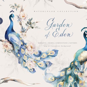 Aquarel vintage pauw clipart, vogels clipart, vintage elegant naadloos patroon, eucalyptus png, pioen png, aquarel pauw vogel png
