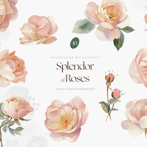 Clipart de rosa blush aquarela, rosas blush rosa png, conjunto de aquarela DIY, flores blush para cartão de convite de casamento, clipart floral png