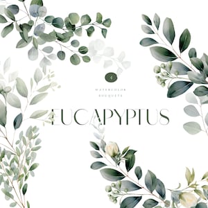 Watercolor eucalyptus clipart, greenery clipart, eucalyptus bouquet, eucalyptus png, greenery wedding invitation clipart