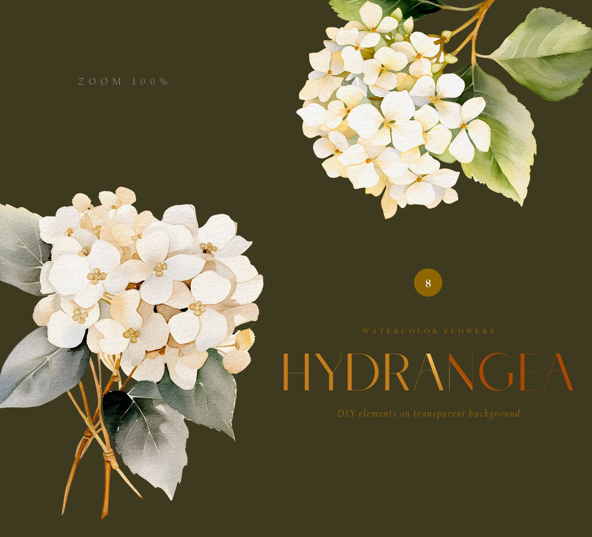 Watercolor White Hydrangea Clipart, Wedding White Flowers Png, White ...