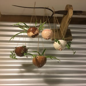 May include: Five hanging planters made of ceramic with different facial expressions. The planters are brown, white, and pink and are hanging from a wooden beam.