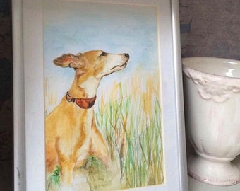 Watercolour Pet Portrait Framed Original Painting