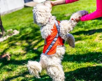 Gilet orange respirant pour chien en filet avec bordure réfléchissante 3M