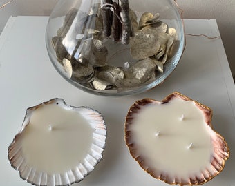 Jakobsmuschel Kerzen. Muschelkerze. Nautische Stil Design. Wohnkultur.