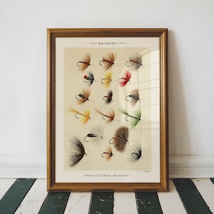 May include: Framed print featuring a collection of colorful fishing flies, labeled "HACKLES." The artwork, in a wooden frame, showcases various fly patterns with detailed illustrations. The text "Made by C.F. ORVIS, Manchester, Vt" is visible at the bottom.