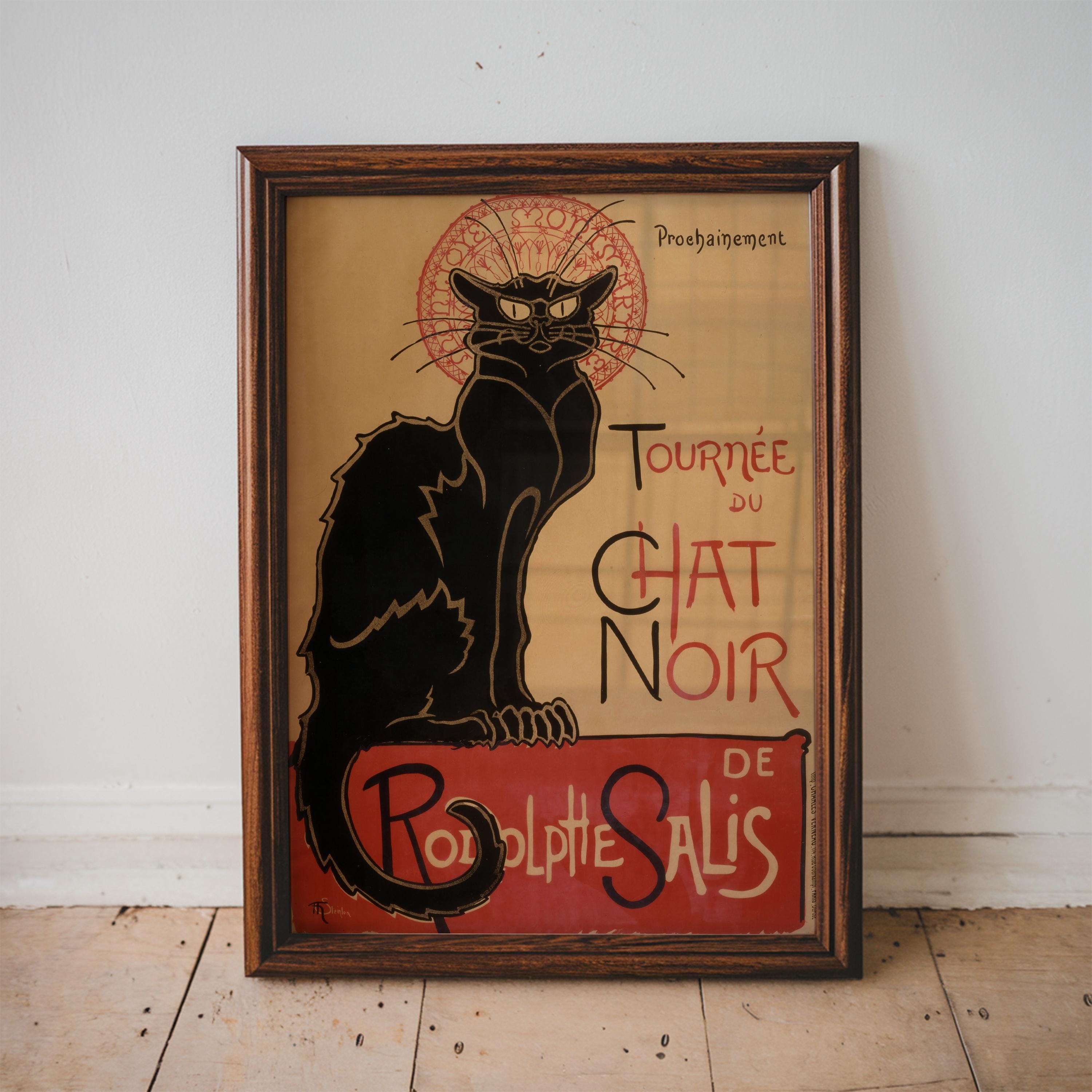 Henrilechatnoir Henri The Cat Le Chat Australia