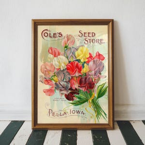 Vintage Gardening Print, Botanical Wall Decor, Antique Seed Packet, Farmhouse Kitchen Wall Art, Vegetable Garden Poster, Cole&#39;s Seed Store
