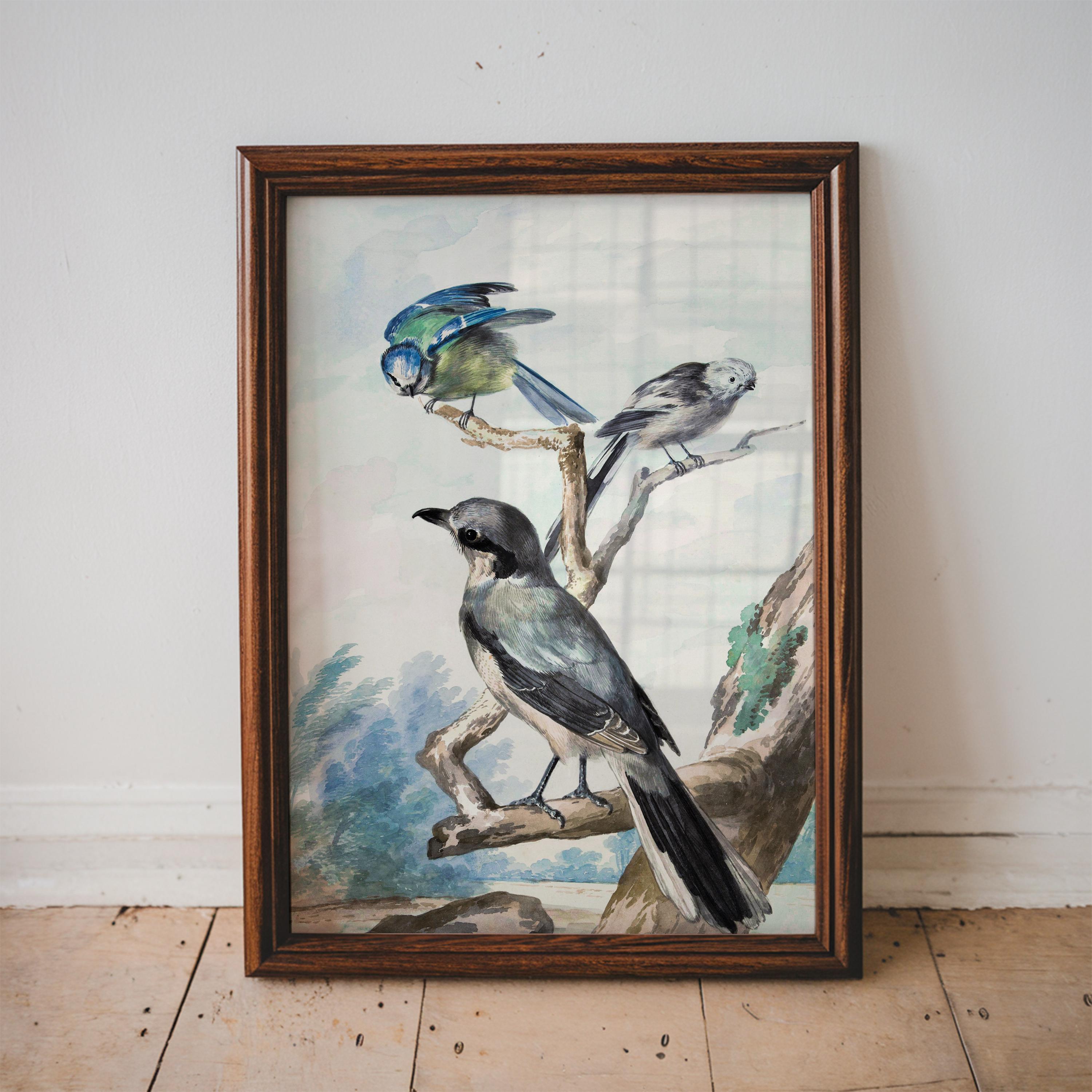 Vintage Bird Illustration: Three Birds on a Branch, Nature Art