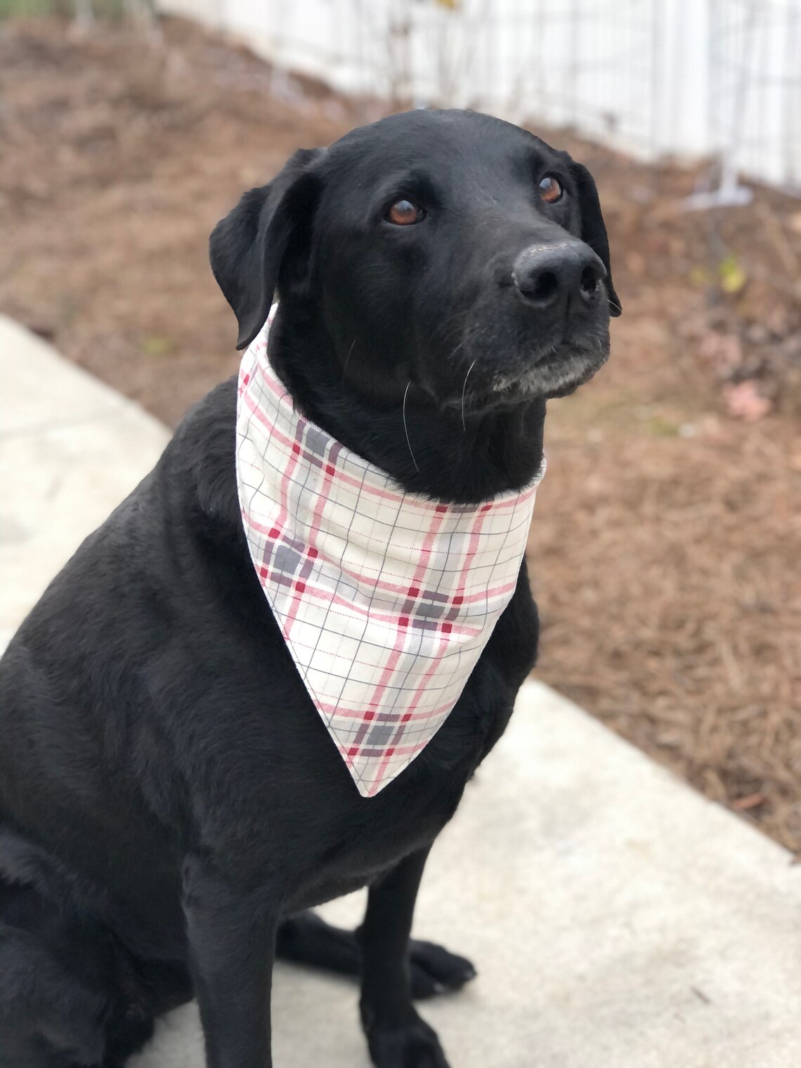 New Patterns Classic Tie Dog Bandanas Etsy