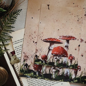 Fly Agaric Mushroom Art Print, Mushroom Decor, Botanical Wall Art