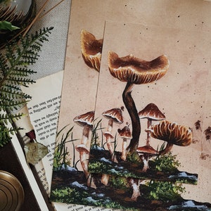 Conocybe Filaris Mushroom Art Print, Mushroom Decor, Botanical Wall Art