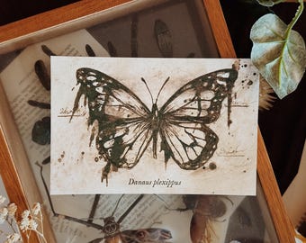 Postal de mariposa - Postales - Estampado de mariposa - Regalo botánico - Papelería - Postales vintage - 100% reciclado