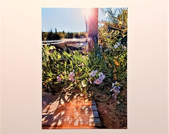 Postkarte "Sonnenlichtspiel & Meeresrauschen" mit stimmungsvollen Lichtspielen auf dem Weg zum Meer, Grußkarte, Postkarte, Kunstpostkarte
