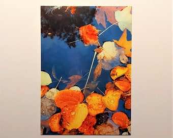 Postcard "AutumnRain Symphony" for lovers of autumn, gift type, greeting card, card