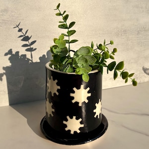 May include: A cylindrical black ceramic planter with a matching saucer, featuring a repeating pattern of white sun-like shapes. A green leafy plant with small, rounded leaves is potted inside, extending upwards and outwards from the container.