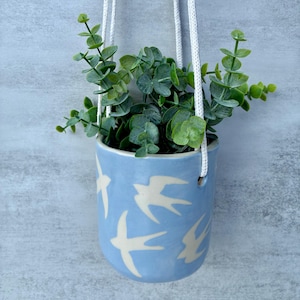 May include: A light blue ceramic hanging planter featuring a white swallow bird pattern. The cylindrical pot is suspended by white woven cords and contains a green leafy plant with small, rounded foliage extending from the top opening.