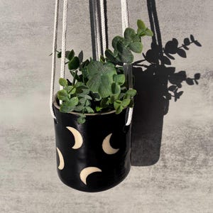 May include: A black ceramic hanging planter featuring a repeating pattern of white crescent moons. The planter is suspended by thick white woven cords and contains a green leafy plant with small rounded foliage extending from the top opening.