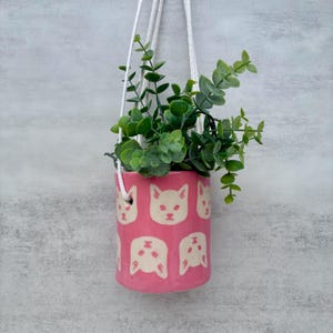 May include: A cylindrical pink ceramic hanging planter featuring a repeating pattern of cream-colored cat faces. The planter is suspended by white braided cords and contains a green leafy plant with small, rounded foliage extending upwards.