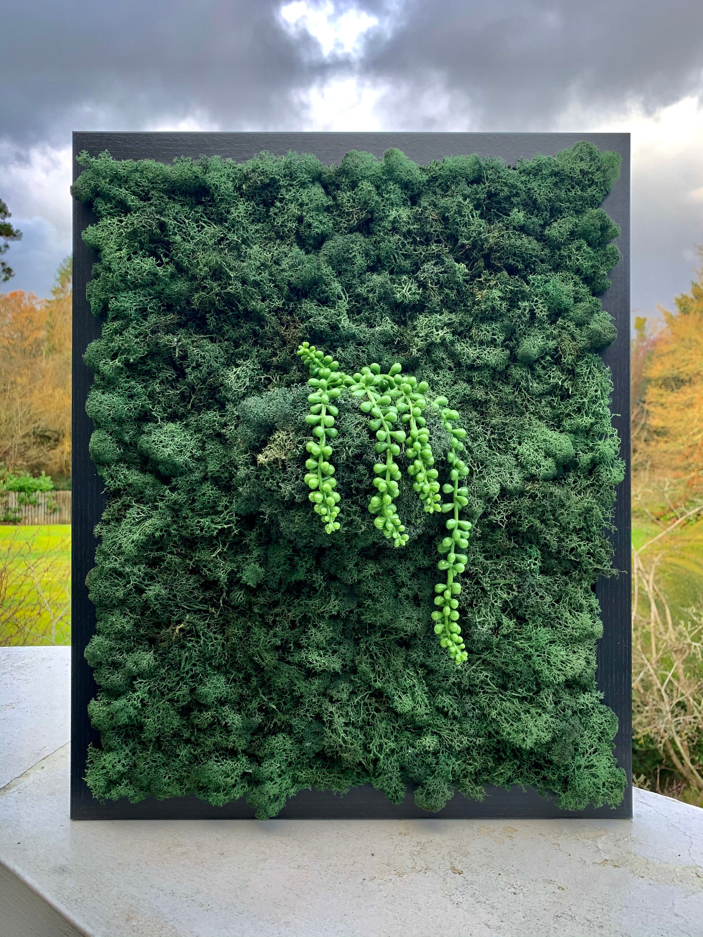 Preserved moss frame moss wall art living wall moss moss Etsy