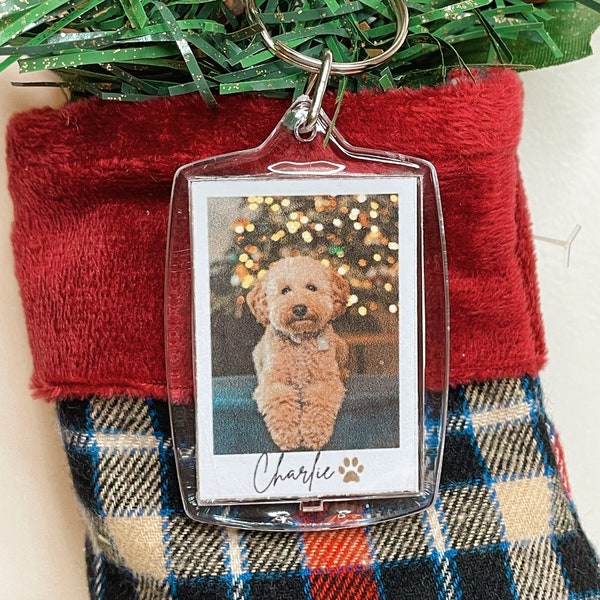 Pet Photo Keychain, Pet Memorial, Gift for Dog or Cat Mom, Pet Portrait Key Tag, Accesory