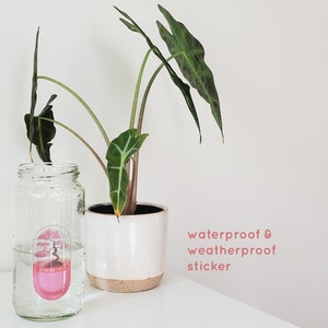 May include: A clear glass jar with a pink and white waterproof sticker of a bonsai tree. The sticker is on the side of the jar and is partially submerged in water. The jar is sitting on a white surface next to a potted plant with green leaves. The text "waterproof & weatherproof sticker" is written in pink below the jar.