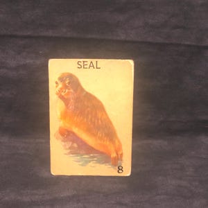 1940s Animal Card Game- single card (Seal)