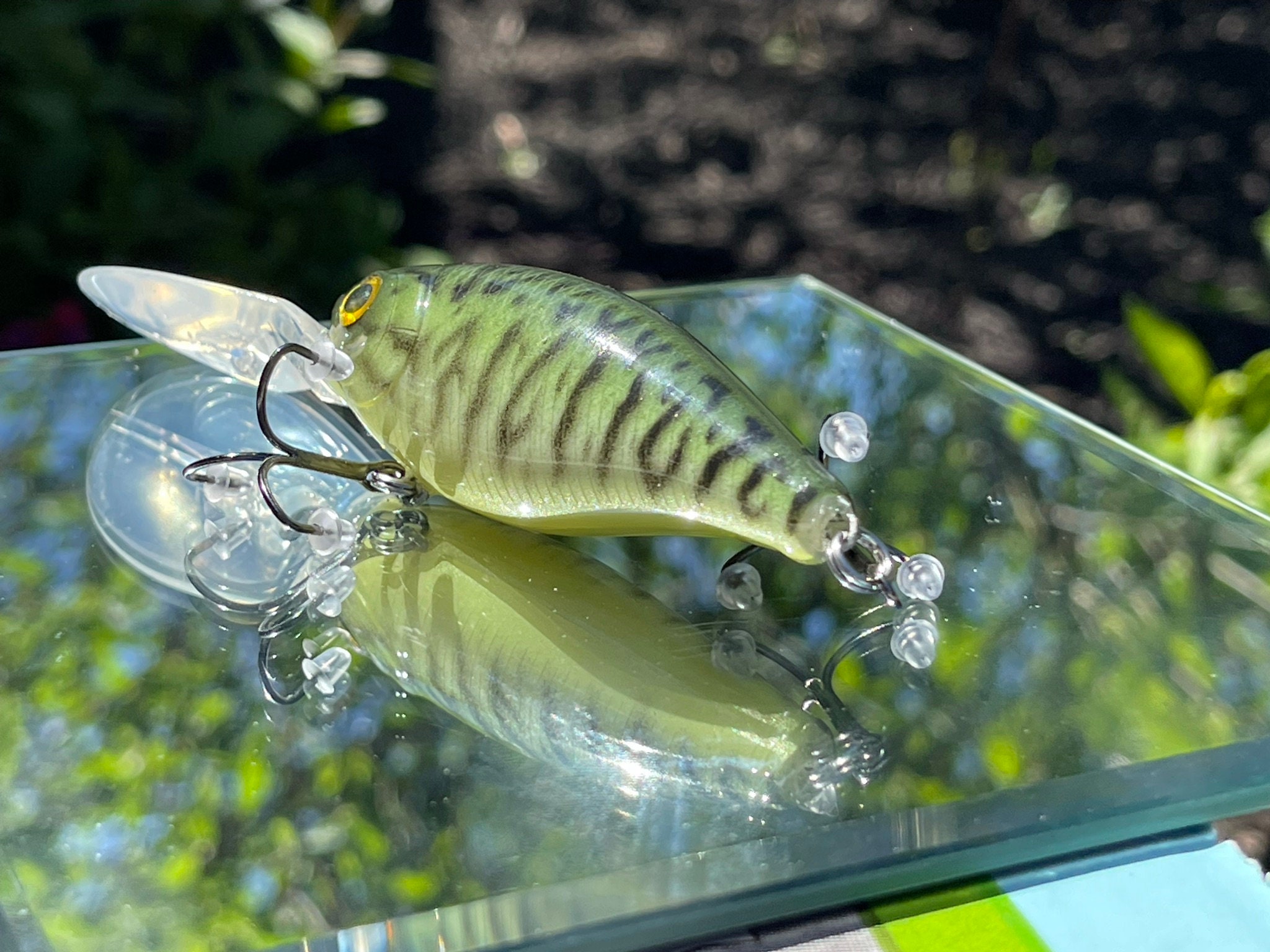 Blazer Baits Bubble Lip Deep Diver Crankbait Etsy Sweden