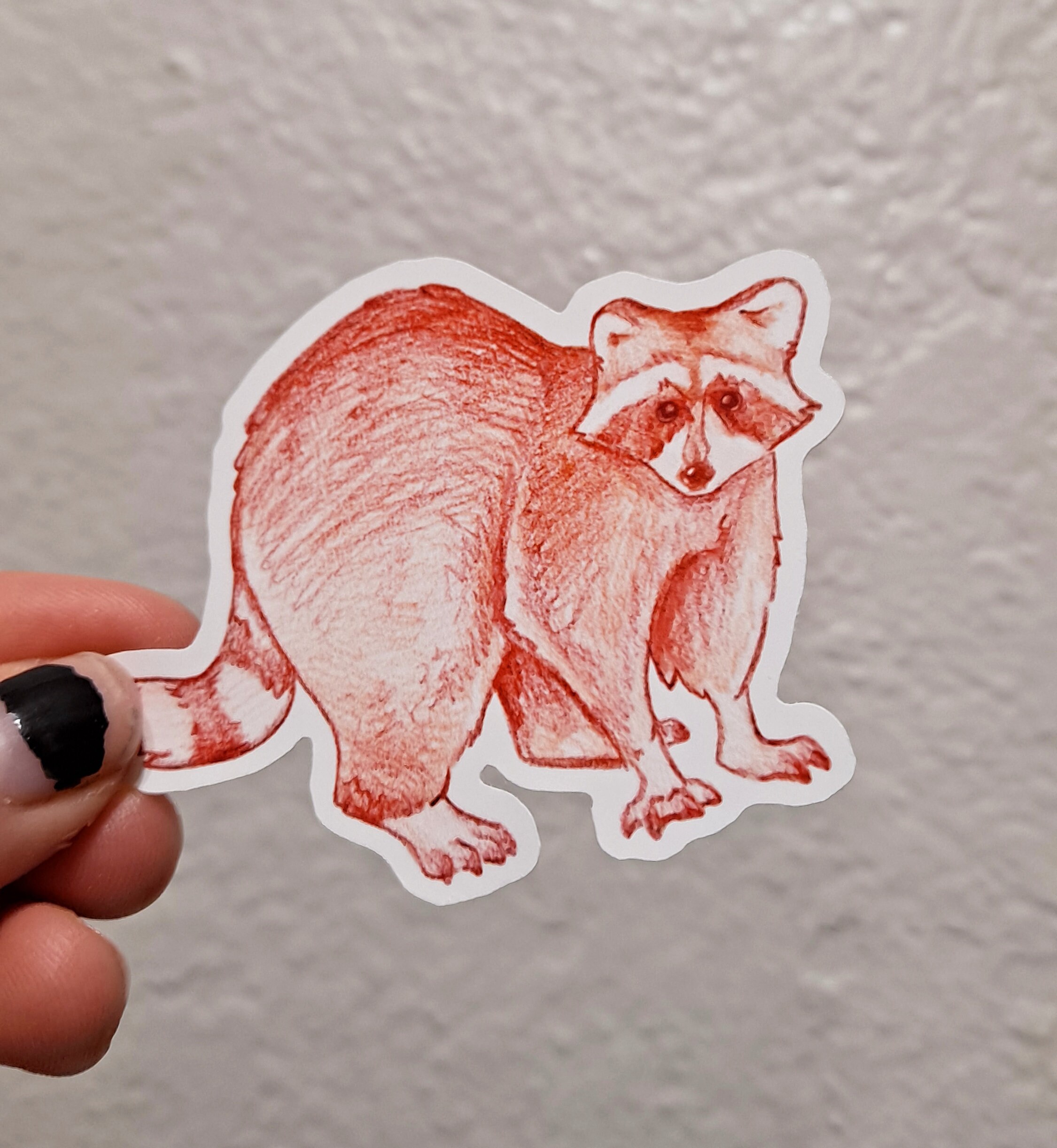 Raccoon Sticker Pack Funny Animal Stickers | Etsy