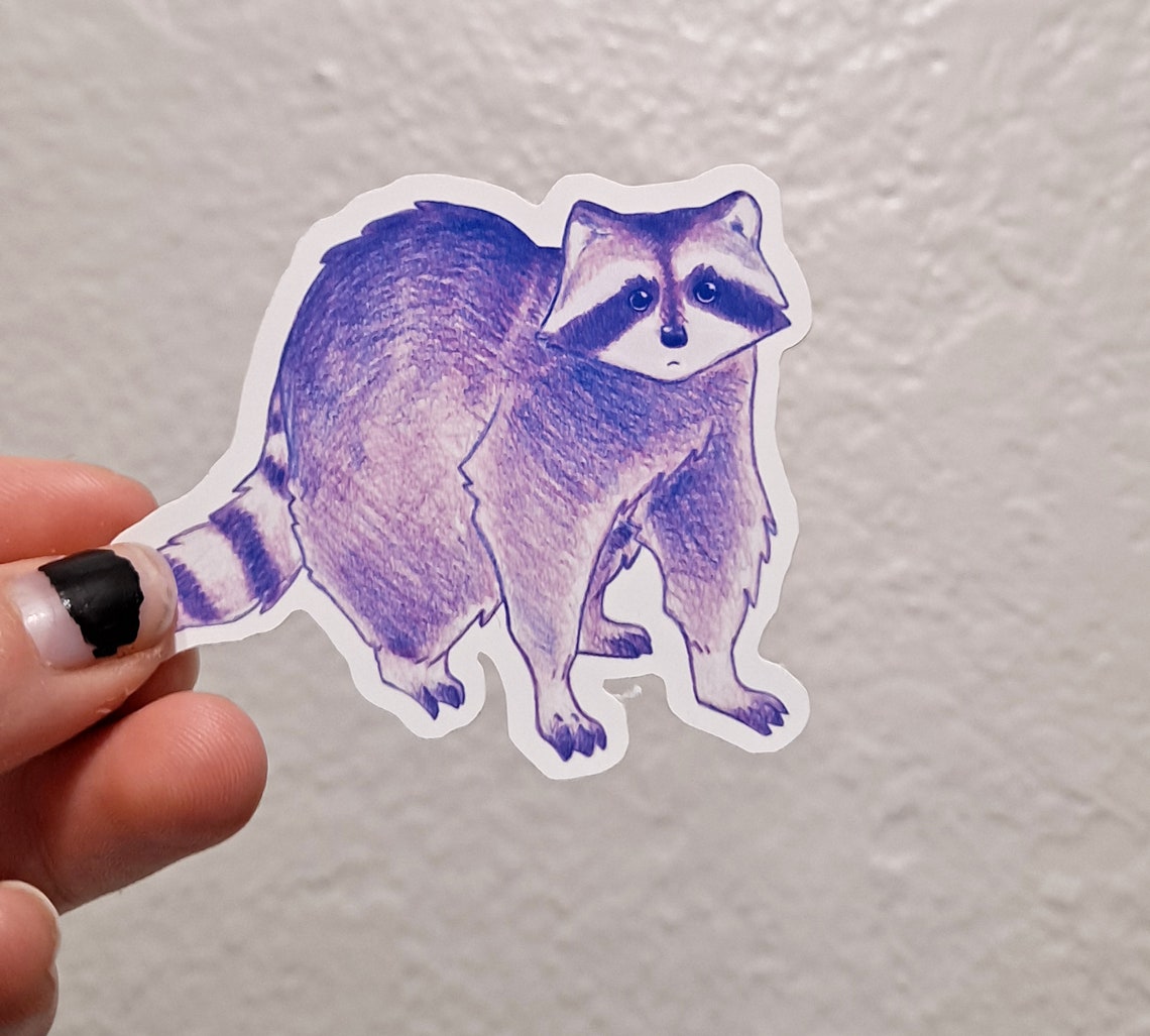 Raccoon Sticker Pack Funny Animal Stickers | Etsy