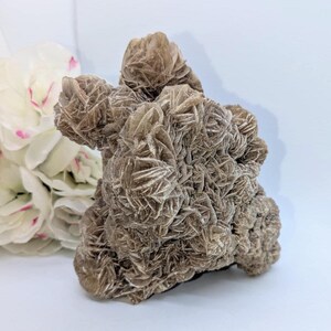 Extra Large Desert Rose Selenite Cluster ~ Large Crystal Cluster ~ Gypsum Crystal ~ Desert Rose Specimen