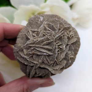Desert Rose Selenite ~ Selenite Cluster ~ Gypsum Crystal ~ Sand Rose Crystal ~ Large Desert Rose Crystal ~ Desert Rose Selenite Specimen