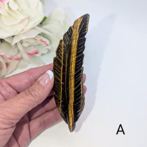 May include: A carved tiger's eye feather. The gemstone is a mix of brown and gold, with detailed feather etching. The letter "A" is visible in the lower right corner. The background includes white flowers.