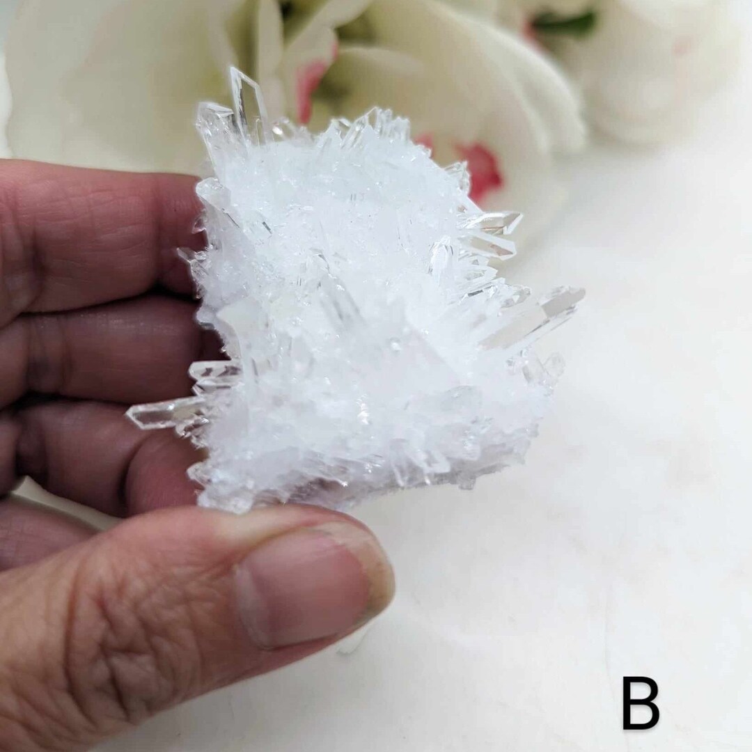 Chrysanthemum Quartz Clear Quartz Cluster Master Healer Protection