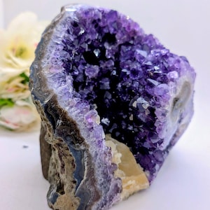 May include: A raw amethyst geode featuring deep purple crystalline structures within a hollowed rock formation. The exterior displays a rough, layered grey and brown stone texture, while the interior cavity is lined with jagged, translucent violet crystals.