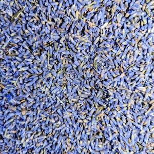 May include: A close-up view of dried lavender buds. The buds are a light purple colour and are scattered across the surface.