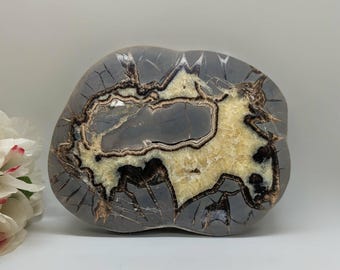 Large Septarian Nodule 'Dragon's Egg' Slab ~ Calcite Crystals ~ Polished Specimen