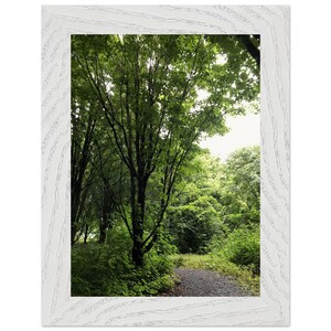Verzauberter Waldweg Fotografie Druck — Natur Wandkunst — Wald entkommen — Poster mit Holzrahmen mit mattem Papier in Museumsqualität