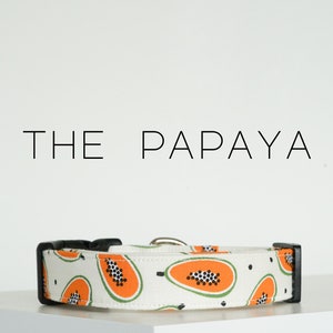 Funky Fruit Print Dog Collar, Trendy Unique Pet Collar &quot;The Papaya&quot;