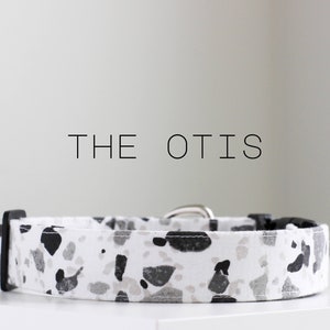 Otis  Fi Smart Dog Collar