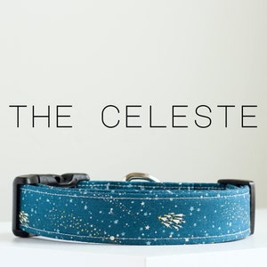 Modern Star Print Dog Collar, Cute Handmade Dog Collar "The Celeste"