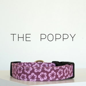 Bold Floral Flower Dog Collar, Trendy Purple Pet Collar &quot;The Poppy&quot;