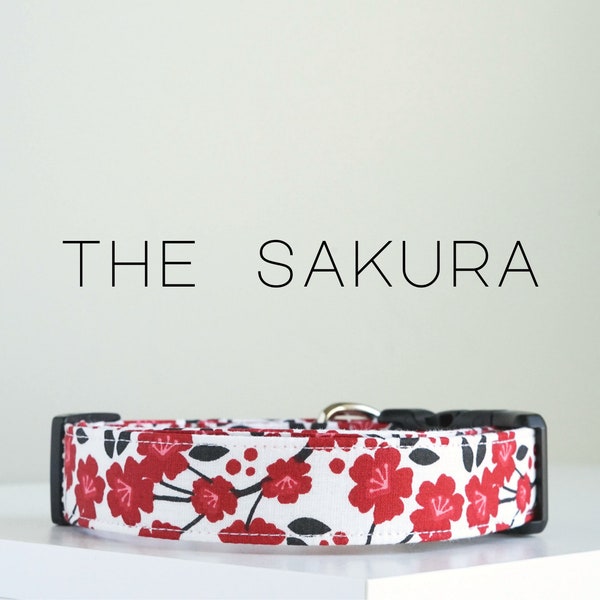 Japanese Floral Pattern Dog Collar, Cute Cherry Blossom Collar "The Sakura"