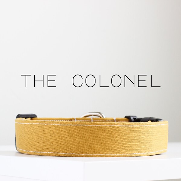 Cute Dog Collar Etsy