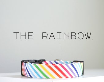 Rainbow Stripe Dog Collar, LGBTQ+ Pride Handmade Dog Collar "The Rainbow"