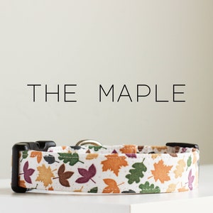 Collar para perros con motivos otoñales y hojas otoñales "The Maple"