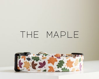Earthy Autumn Dog Collar, Fall Leaf Dog Collar "The Maple"